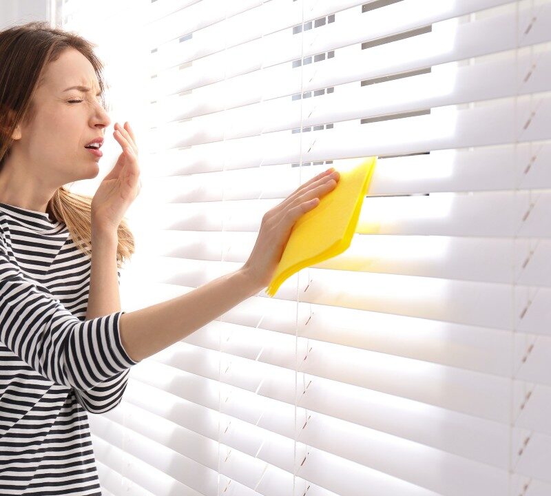 Convierte a tu hogar en una zona libre de estornudos