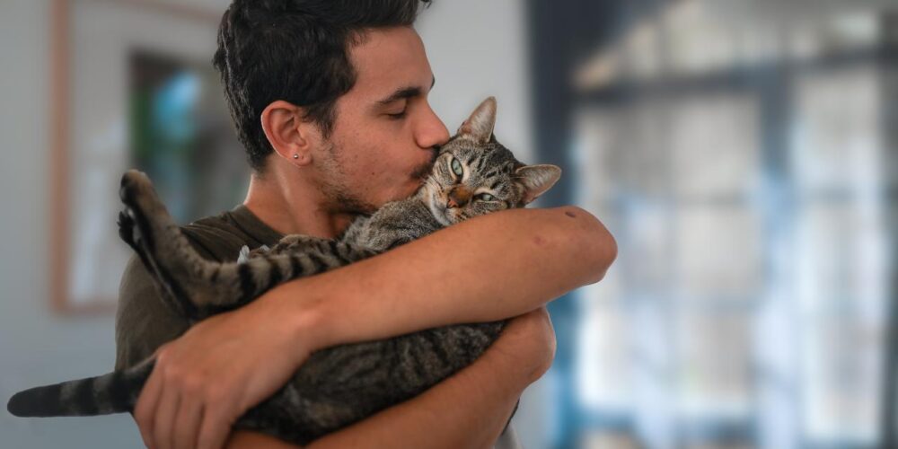 ¡Tu gato NO tiene nueve vidas (y puede afectar la salud de tu hogar)!