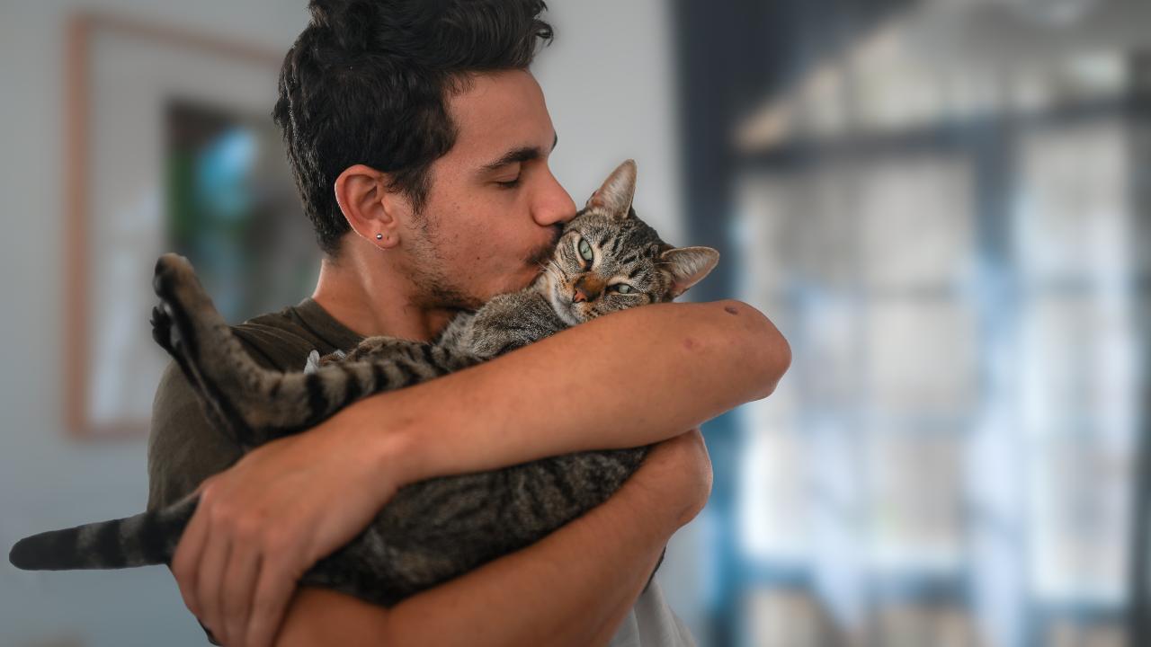 ¡Tu gato NO tiene 9 vidas (y puede afectar la salud de tu hogar)!