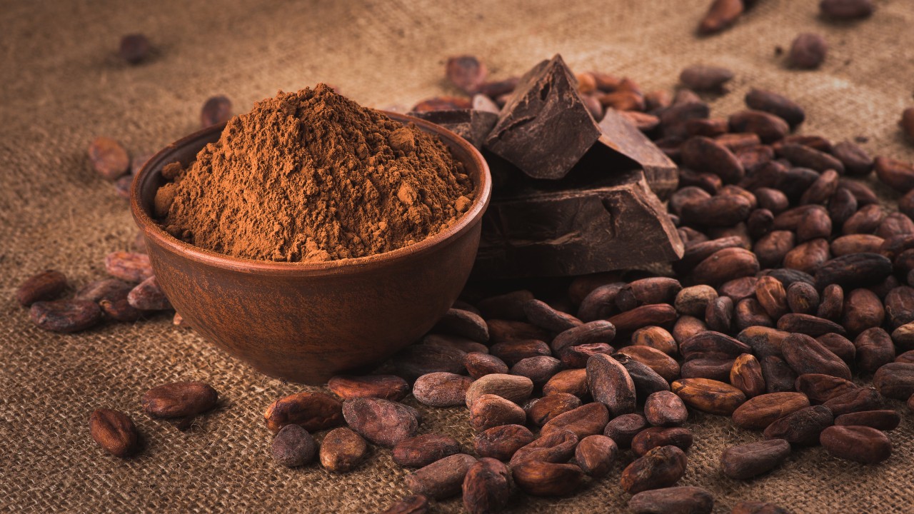 El cacao podría mejorar la función cognitiva en los ancianos