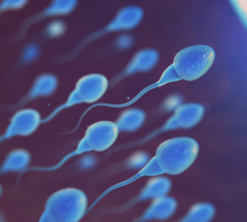 Nuevo estudio: Prometedora la anticoncepción masculina
