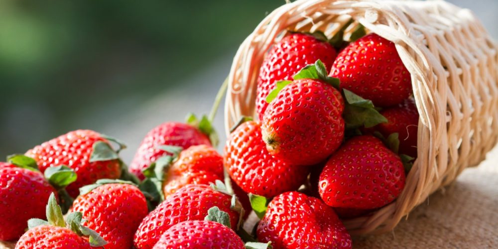 El consumo de fresas reduce el colesterol