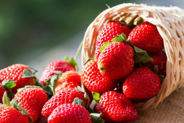 El consumo de fresas reduce el colesterol