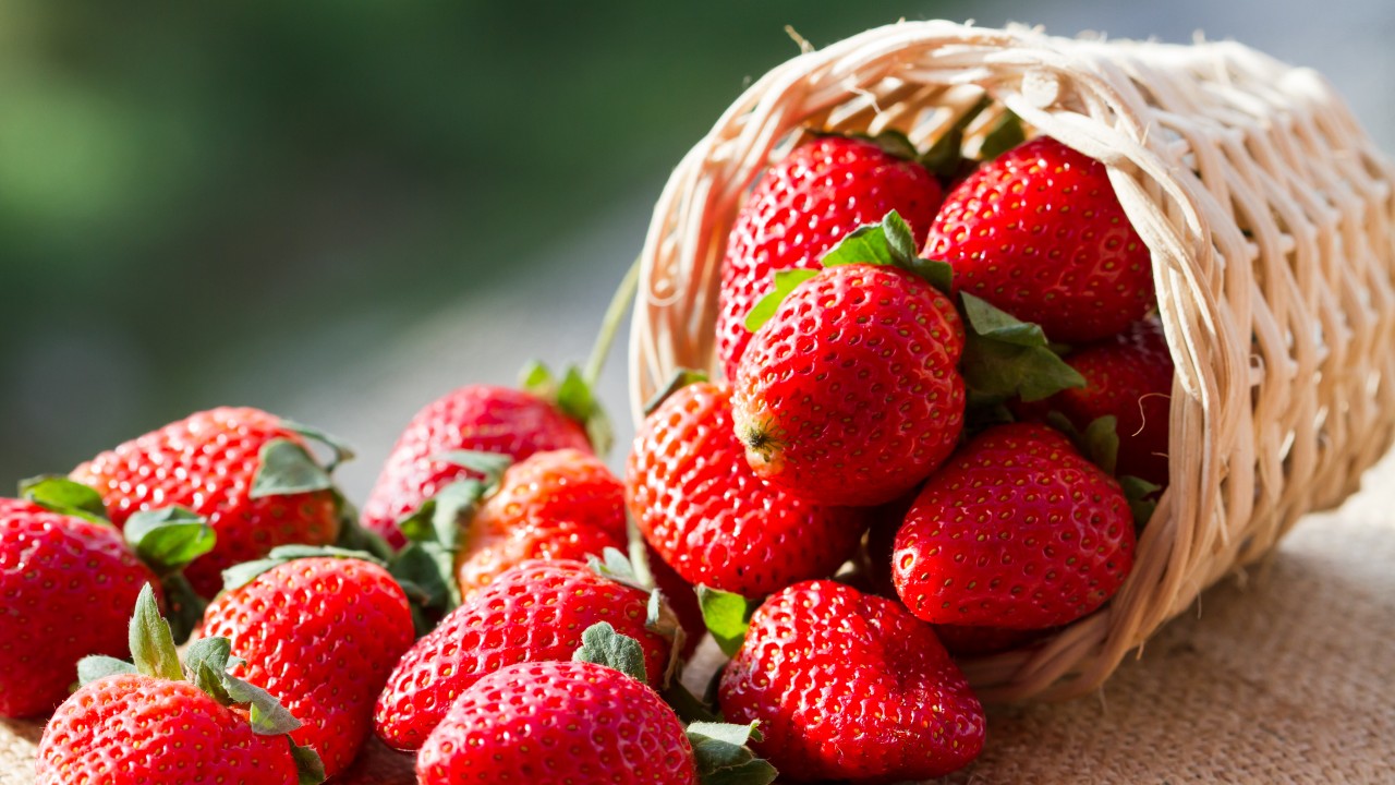 El consumo de fresas reduce el colesterol