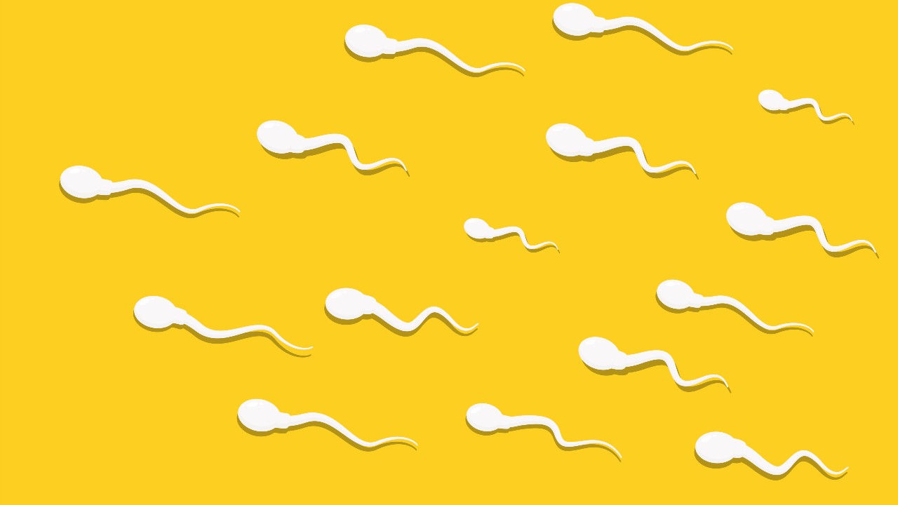 Cosas que probablemente no sabías acerca del esperma