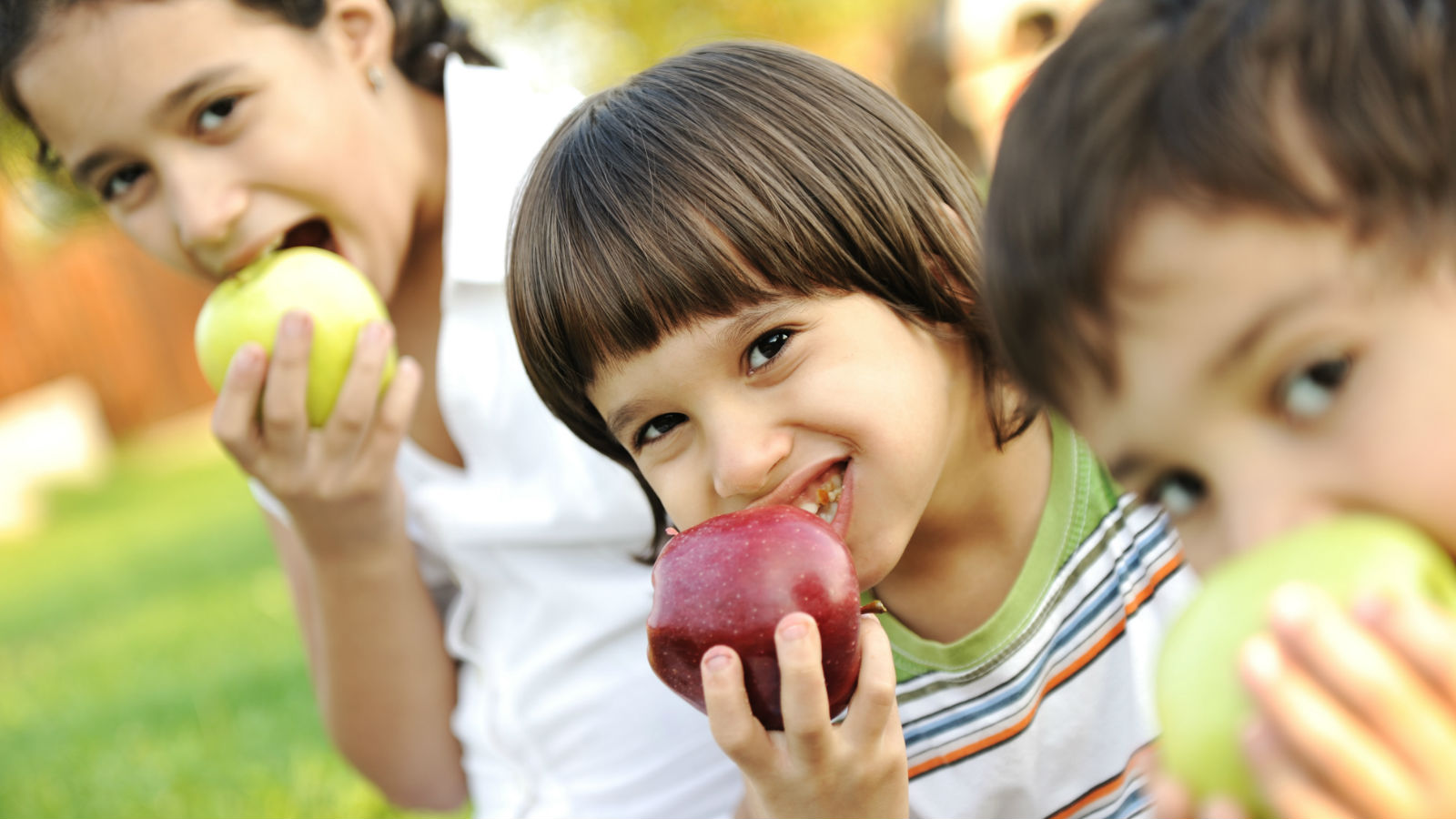 Tentempiés o <em>snacks</em> saludables para los niños