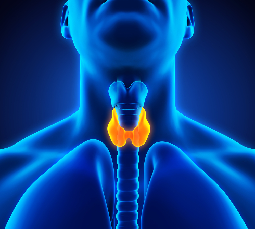 ¿Qué quiere decir que tienes problemas con la tiroides?