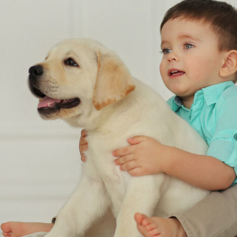 niño pequeño abrazando perro