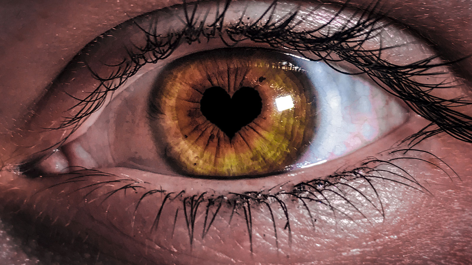 Lo que dicen tus ojos sobre la salud de tu corazón