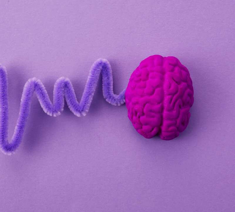 La epilepsia: uno de los trastornos neurológicos más comunes