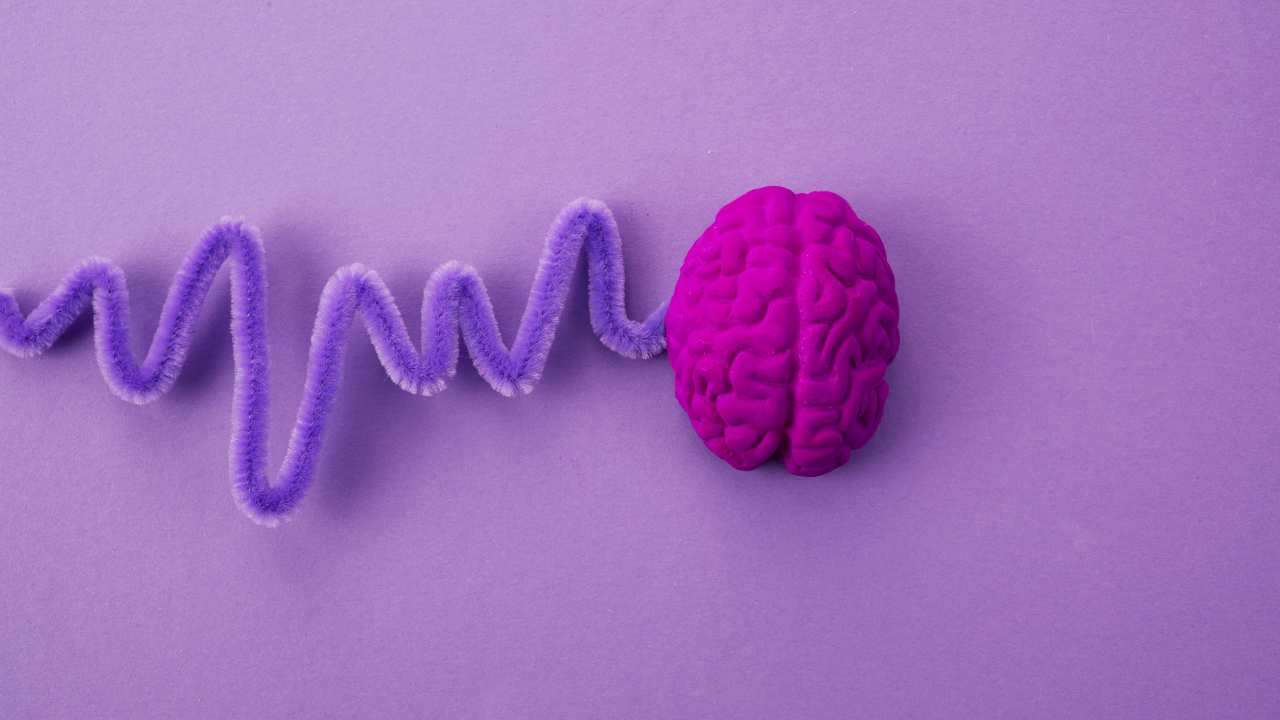 La epilepsia: uno de los trastornos neurológicos más comunes