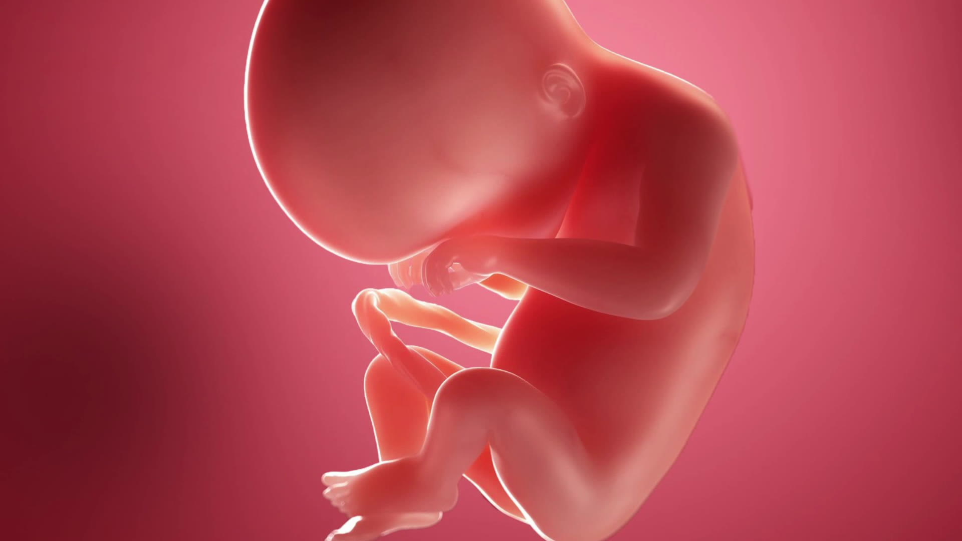 Semana 20 semana de embarazo: el bebé ya percibe a mamá