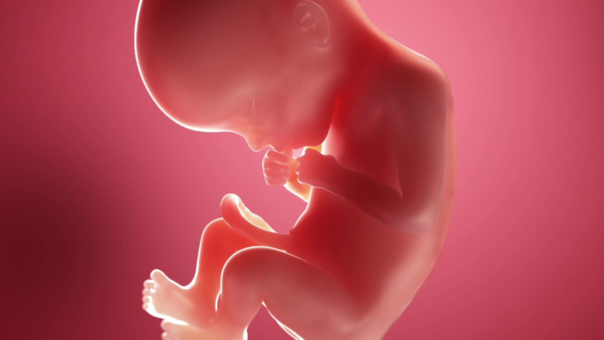 Semana 22 de embarazo: el bebé se ríe, llora y enoja