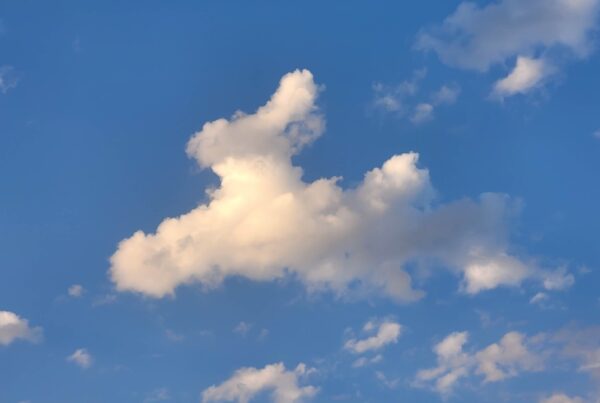 ¿Ves conejos en las nubes? ¡No estás solo!