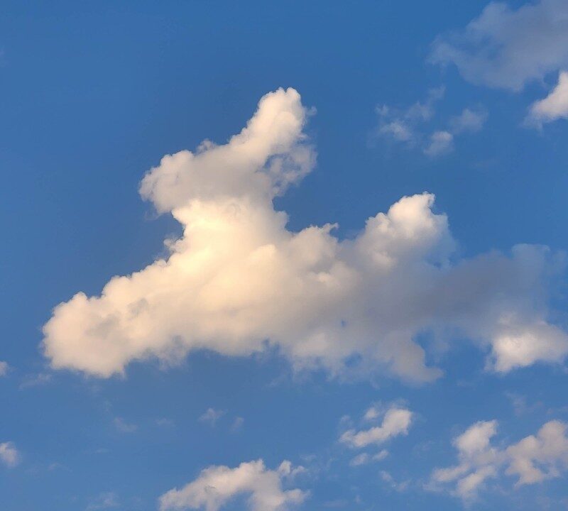 ¿Ves conejos en las nubes? ¡No estás solo!