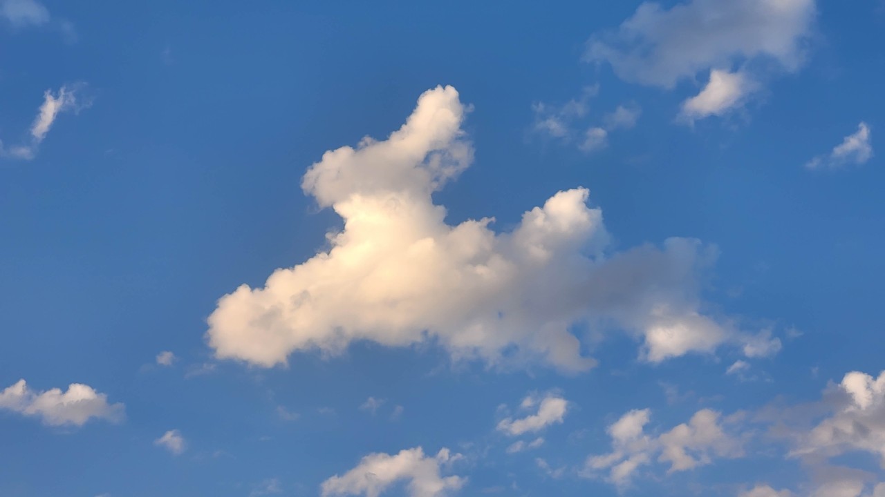 ¿Ves conejos en las nubes? ¡No estás solo!