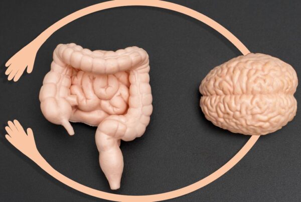 Conexión entre intestino y cerebro para bienestar físico y mental