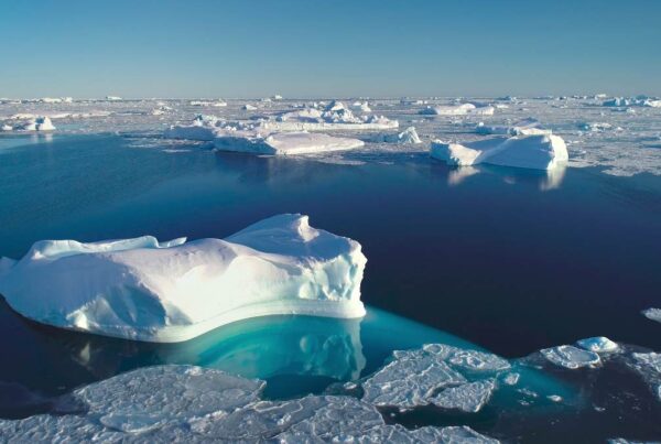 Alt text image: Primer día sin hielo en el Ártico podría ocurrir antes de 2030.