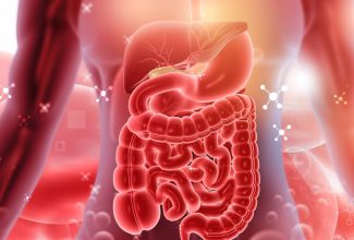 El sistema digestivo: La clave invisible para una salud total