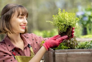 qué plantar y cosechar a principios de la primavera en el huerto