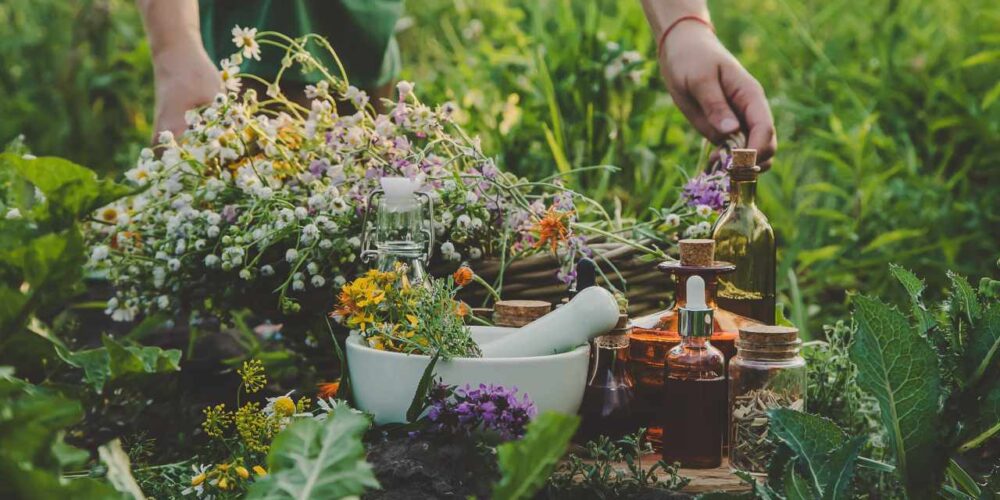 Plantas para curar heridas en remedios naturales
