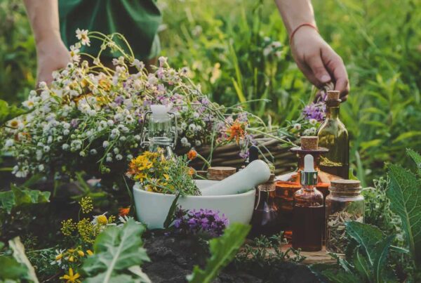 Plantas para curar heridas en remedios naturales