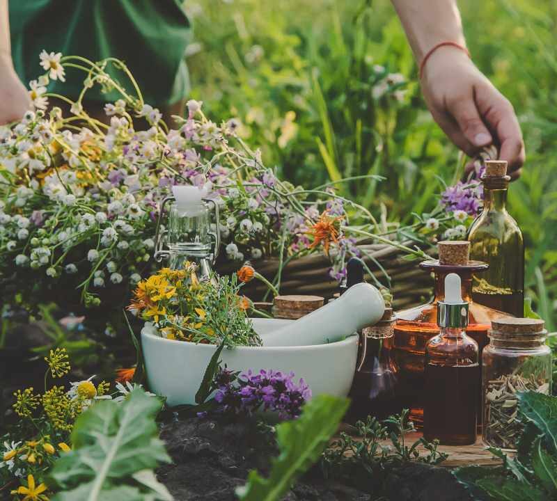 Plantas para curar heridas en remedios naturales