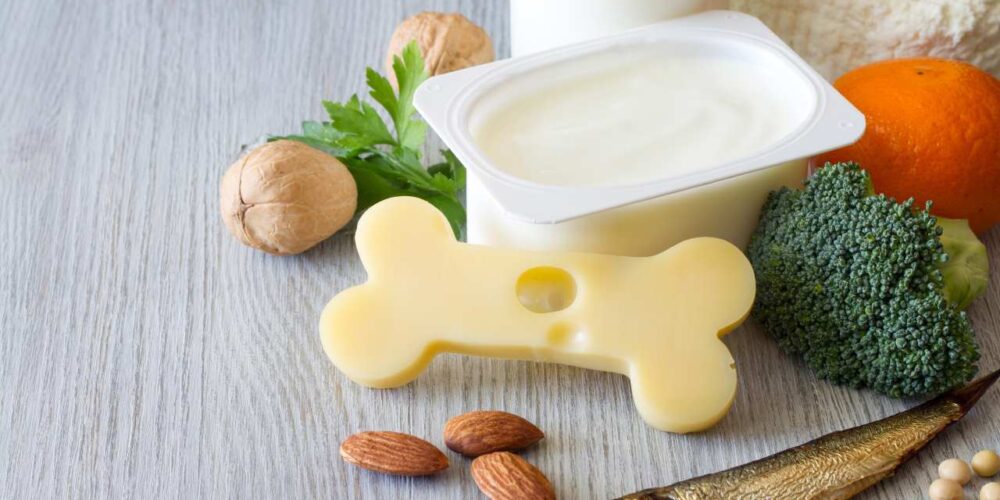 prevención de la osteoporosis