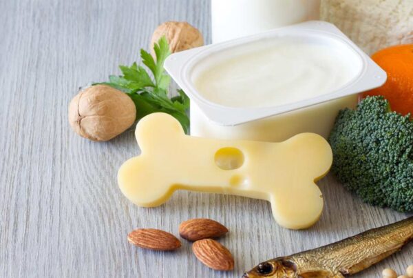 prevención de la osteoporosis