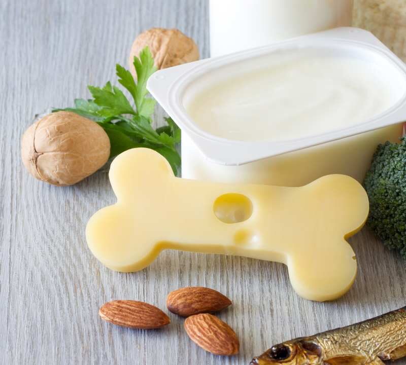 prevención de la osteoporosis