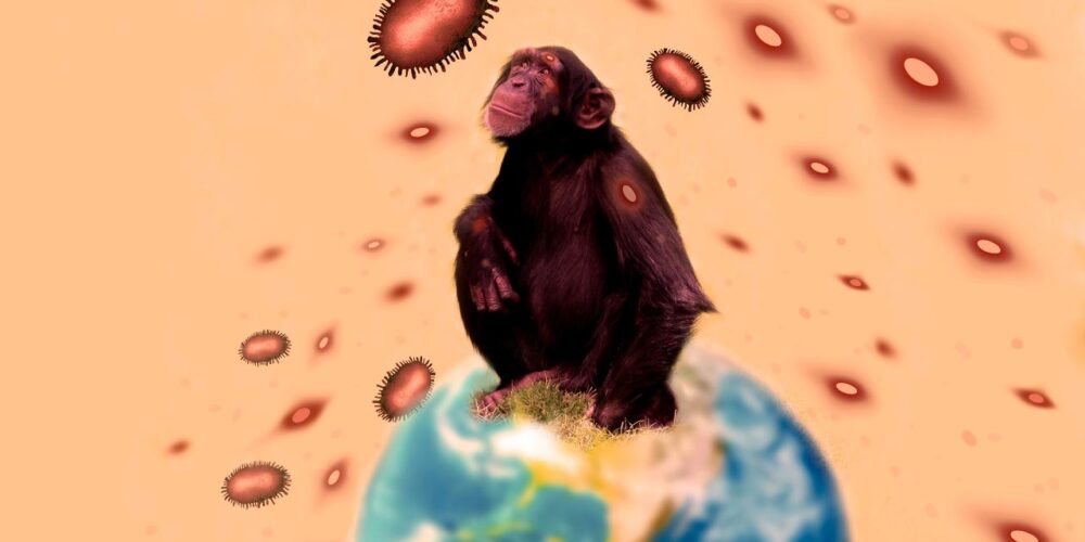 Transmisión de enfermedades zoonóticas de animales a humanos