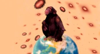Enfermedades que vienen de animales: lo que debes saber