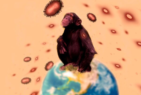 Transmisión de enfermedades zoonóticas de animales a humanos