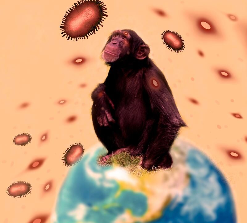 Transmisión de enfermedades zoonóticas de animales a humanos