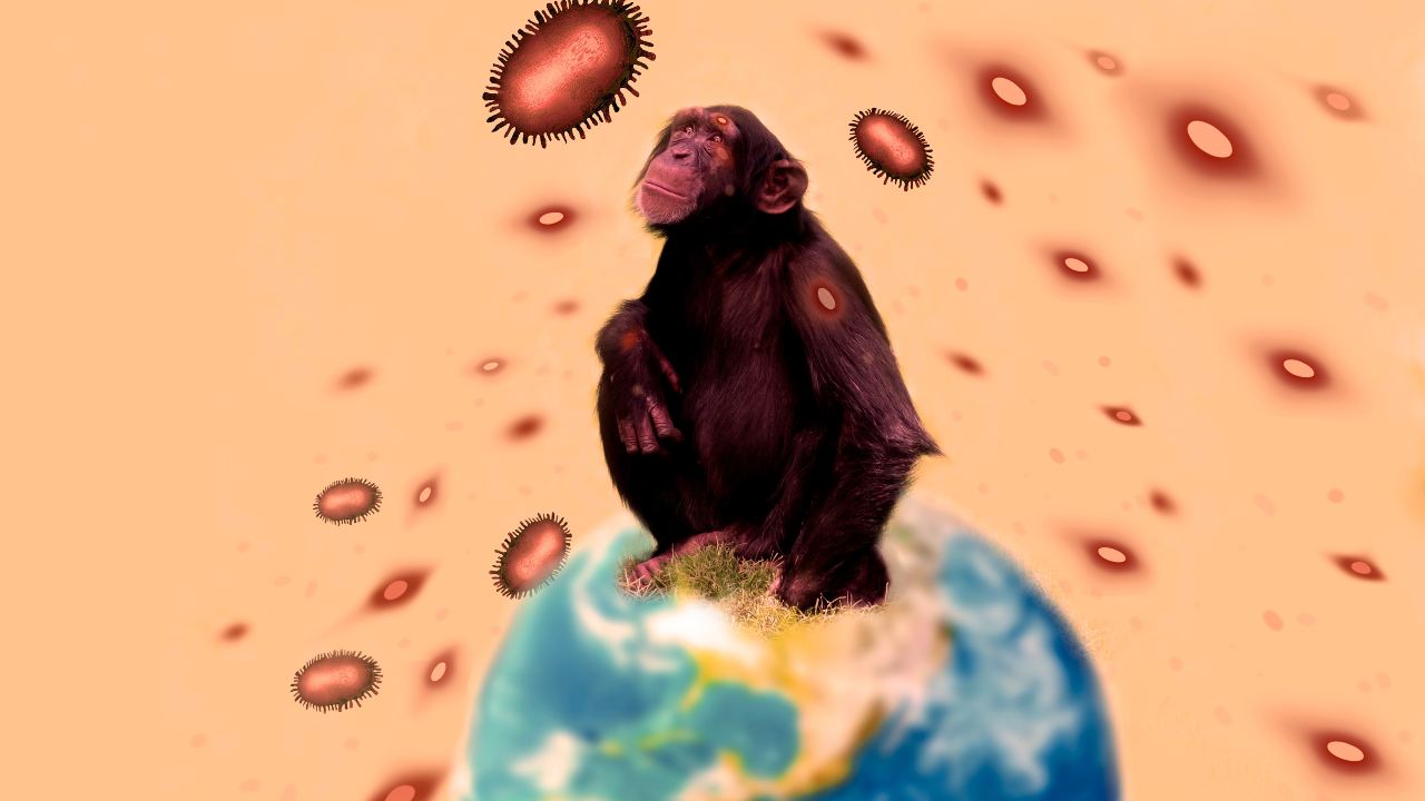 Enfermedades que vienen de animales: lo que debes saber