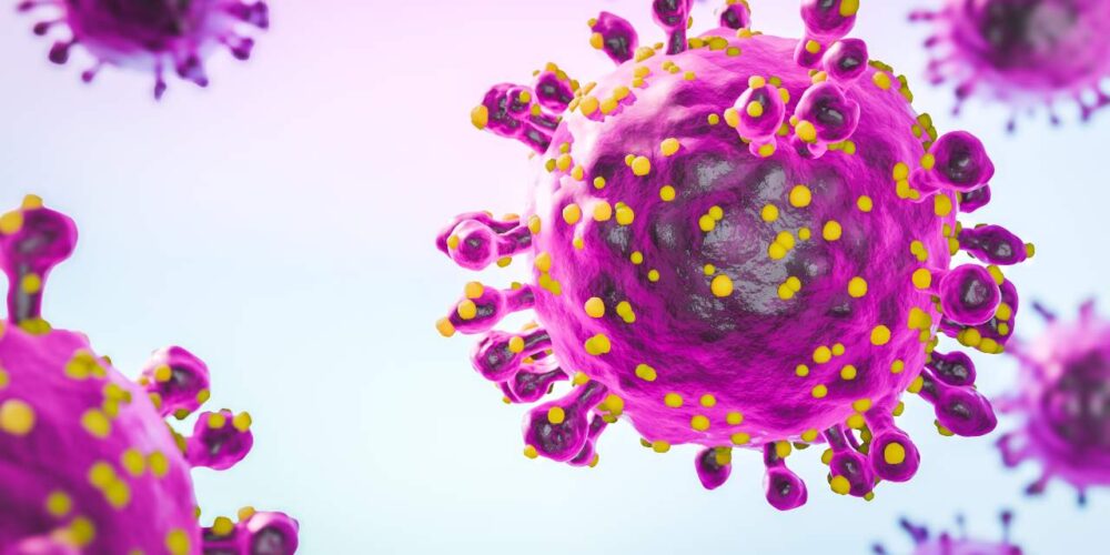 Ilustración de mapa con zonas afectadas por el virus Oropouche en América Latina