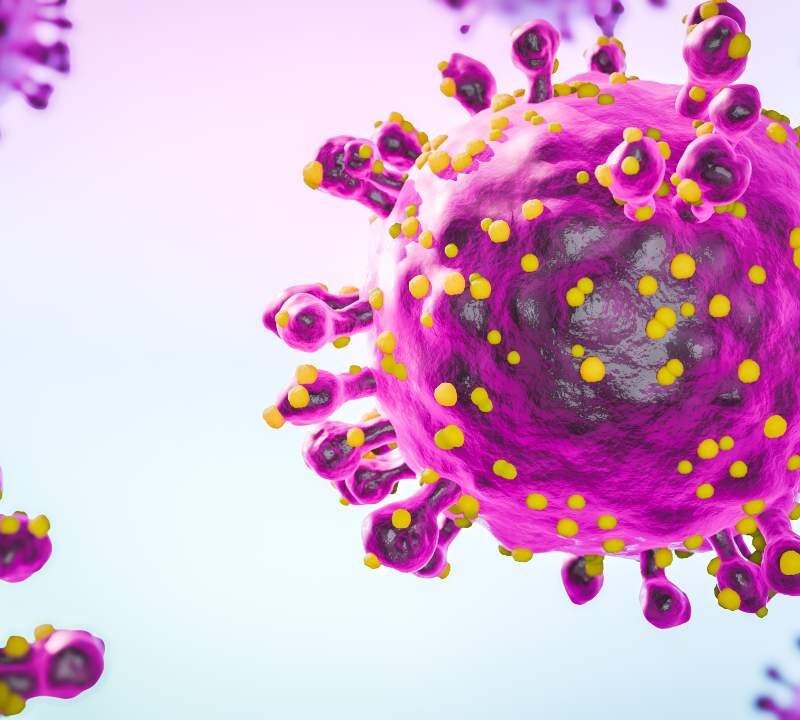 Ilustración de mapa con zonas afectadas por el virus Oropouche en América Latina