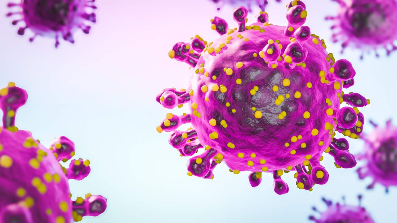Virus Oropouche: cómo reconocer sus síntomas y prevenir la fiebre tropical