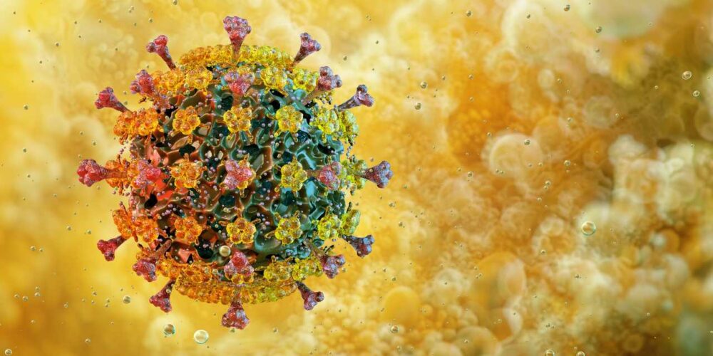 Representación del virus H5N1 asociado a la gripe aviar en Estados Unidos.