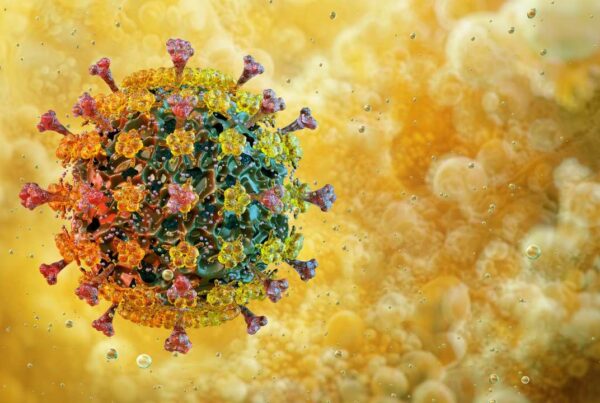 Representación del virus H5N1 asociado a la gripe aviar en Estados Unidos.