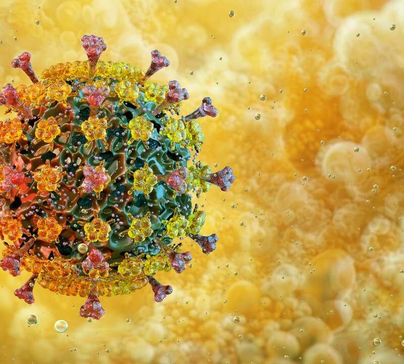 Representación del virus H5N1 asociado a la gripe aviar en Estados Unidos.