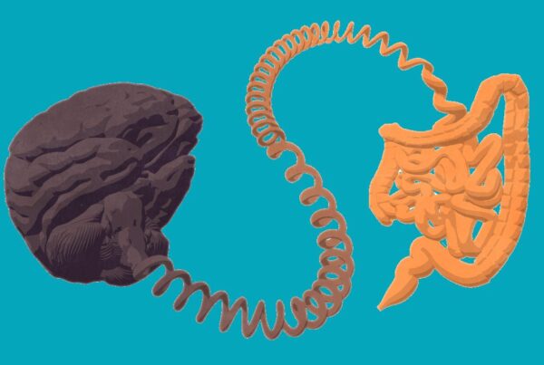 Conexión entre intestino y cerebro en alzhéimer y párkinson