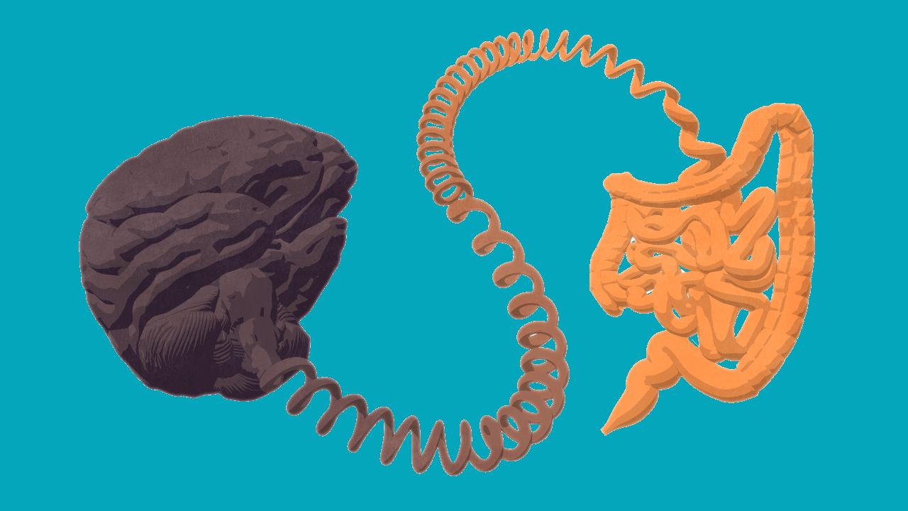 Problemas digestivos: ¿una señal temprana de alzheimer y parkinson?