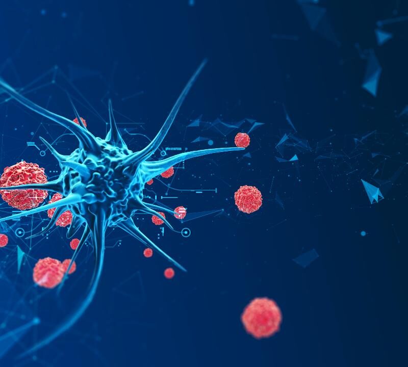 Ilustración médica que muestra conexión entre virus y cáncer