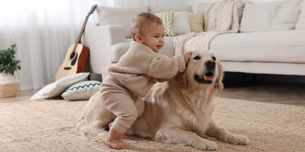 Bebé jugando con un perro que simboliza la protección contra el asma infantil 