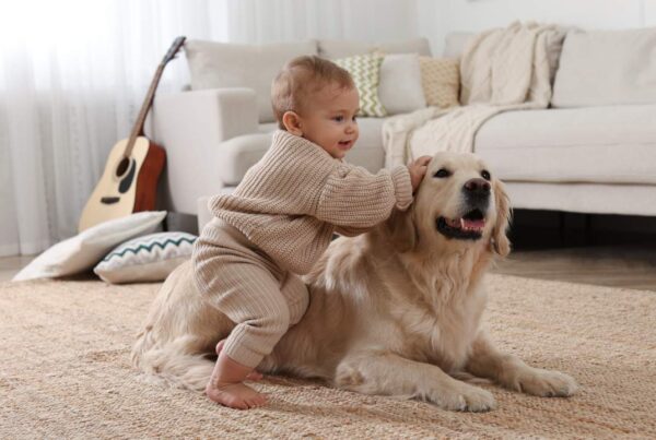 Bebé jugando con un perro que simboliza la protección contra el asma infantil 