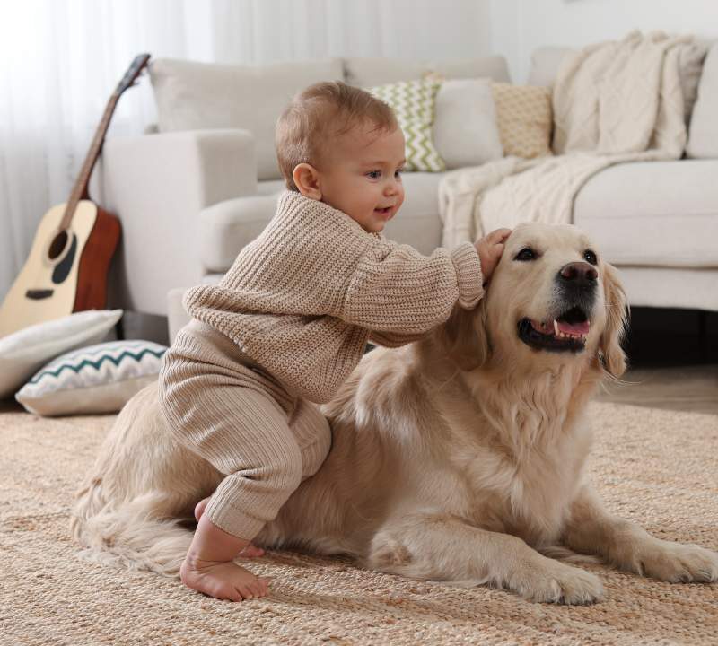 Bebé jugando con un perro que simboliza la protección contra el asma infantil 