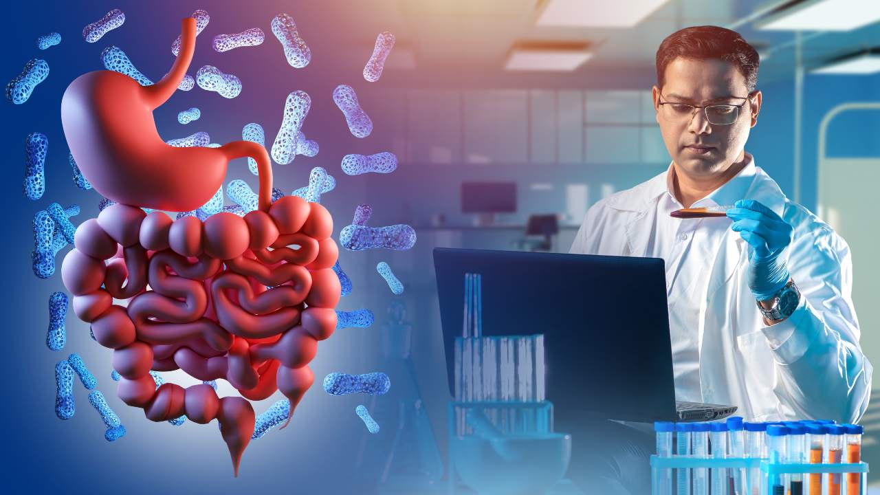 Cómo la microbiota intestinal podría ser clave en la aterosclerosis