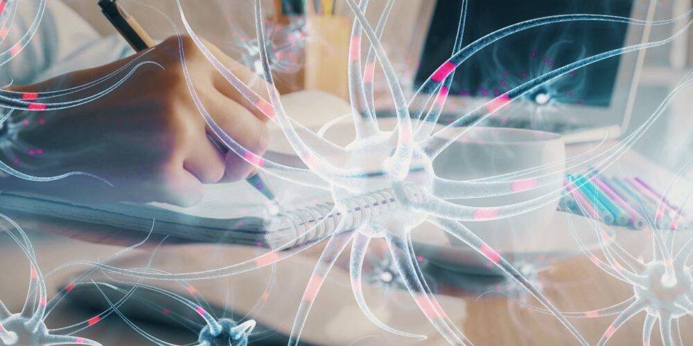 Ilustración del cerebro con conexiones neuronales que simbolizan el efecto neuroprotector del litio.