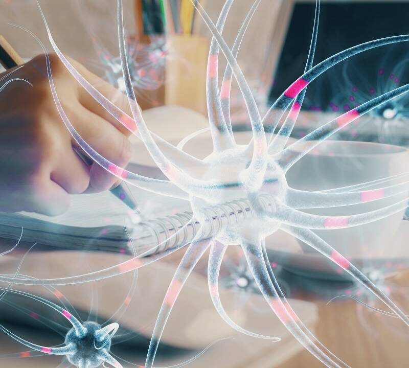 Ilustración del cerebro con conexiones neuronales que simbolizan el efecto neuroprotector del litio.